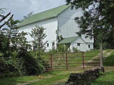 article image - Barn